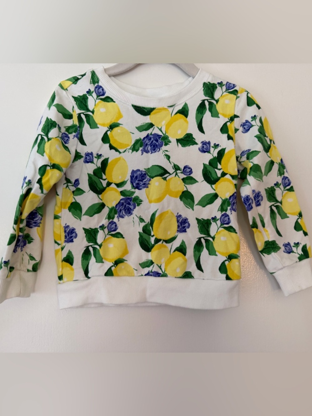 Janie and Jack White Pullover w/Yellow Lemon & Green Leaf Motif baby girl 18-24m